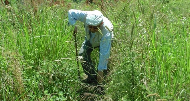 VATANDA?LARDAN KABLO TEPK?S?