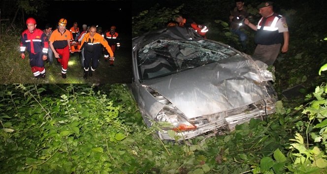 Alkollü Sürücü Fındık Tarlasına Uçtu