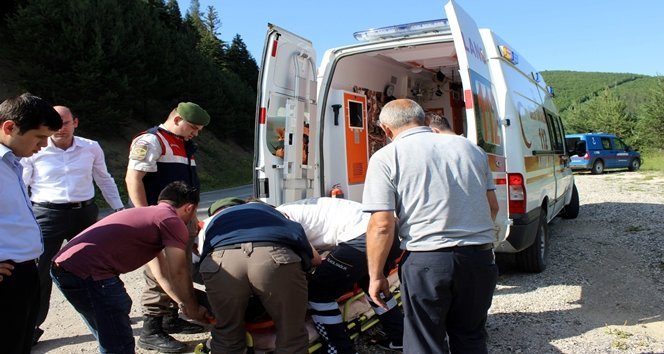 KASTAMONU?DA OTOMOB?L TARLAYA UÇTU: 5 YARALI