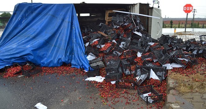 Kiraz yüklü kamyon devrildi: 1 yaralı