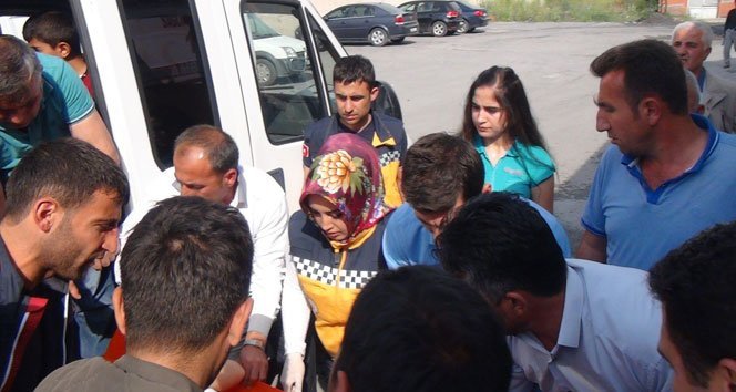 Piknik yapıyorlardı dehşeti yaşadılar: 6 yaralı