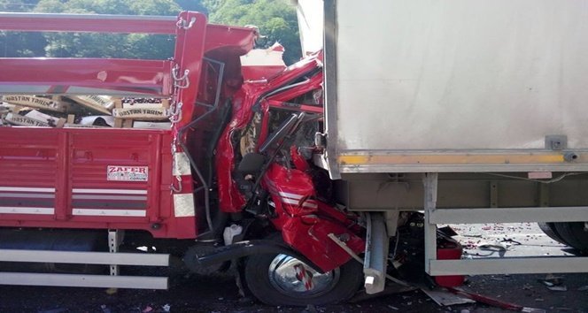 10253928_1076586509036408_1750423939010503244_n