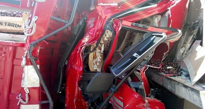 11692577_1076586542369738_2142675377340483961_n