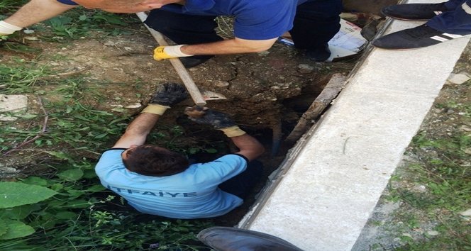 ÇUKURDA MAHSUR KALAN KÖPEK VE YAVRULARI KURTARILDI