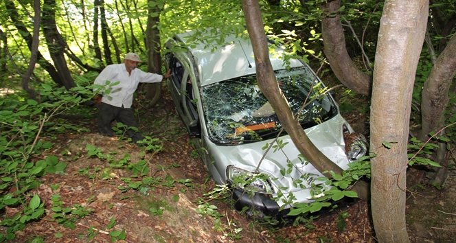 Arıdan korkup şarampole yuvarlandı