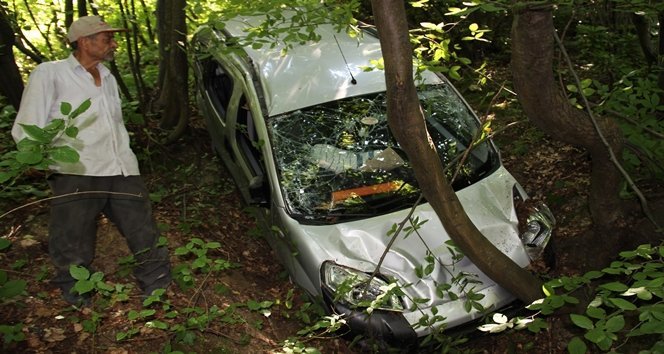 ARIDAN KORKUP ?ARAMPOLE YUVARLANDI