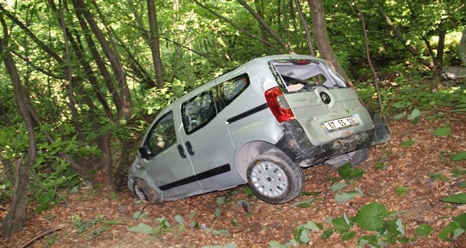 ARIDAN KORKUP ?ARAMPOLE YUVARLANDI