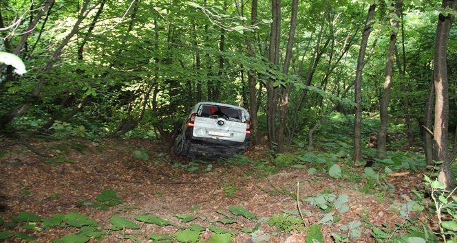 ARIDAN KORKUP ?ARAMPOLE YUVARLANDI