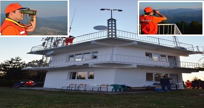 Ormanın Tepegözleri