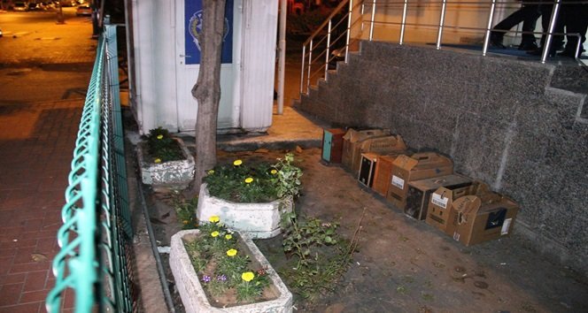 POLİSİN YAPTIĞI BASKINDA ELE GEÇİRİLEN HOROZLAR ORMAN İŞLETME MÜDÜRLÜĞÜ EKİPLERİNE TESLİM EDİLEREK KORUMA ALTINA ALINDI. (VEDAT KILIÇ/ZONGULDAK-İHA)