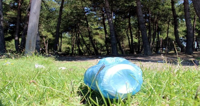 ATILAN İÇKİ ŞİŞELERİ DİKKAT ÇEKİYOR (A. CÜNEYD HAMZAÇEBİ/ZONGULDAK-İHA)