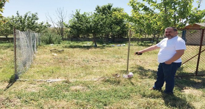 Hırsızlar, İşçilerin Hobi Olarak Beslediği Koyunları Çaldı