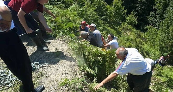 ZONGULDAK'IN DEVREK İLÇESİNDE TRAKTÖRÜYLE YAKLAŞIK 50 METREDEN UÇURUMA YUVARLANAN 55 YAŞINDAKİ MUHARREM KODAMAN'IN CESEDİ SIKIŞTIĞI YERDEN ÇIKARILARAK HASTANE MORGUNA KALDIRILDI. (FİKRİ ERDEM/ZONGULDAK-İHA)