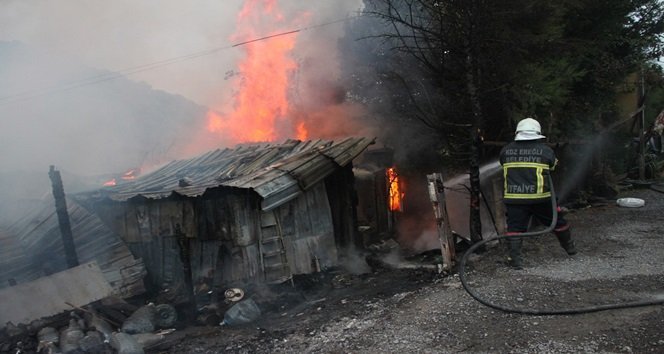 KDZ. EREĞLİ'DE SABAH SAATLERİNDE ÇAY BAHÇESİ'NDE ÇIKAN YANGINA KDZ. EREĞLİ BELEDİYESİ İTFAİYE EKİPLERİ MÜDAHALE ETTİ. (VEDAT KILIÇ/ZONGULDAK-İHA)