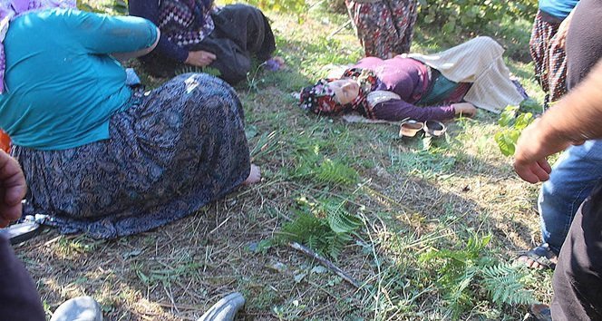 KDZ. EREĞLİ'DE FINDIK TARLASINA UÇAN TARIM ARACINDAKİ 7 KİŞİ YARALANDI. (VEDAT KILIÇ/ZONGULDAK-İHA)