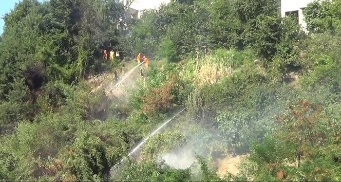 ZONGULDAK’TA ÇIKAN YANGIN KORKUTTU