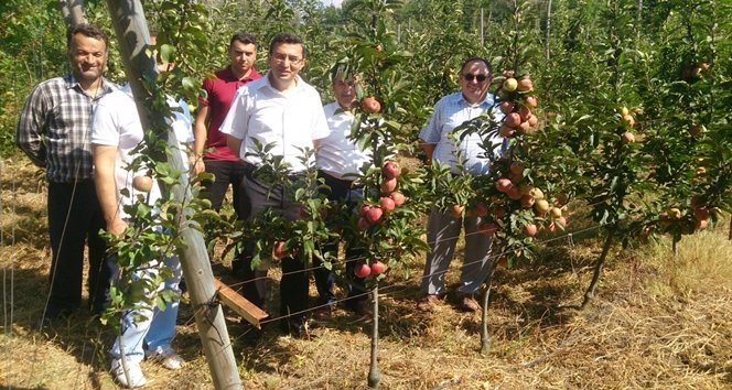 KAYMAKAM SERKAN KEÇELİ’DEN TARIMSAL ALANLARA ZİYARET
