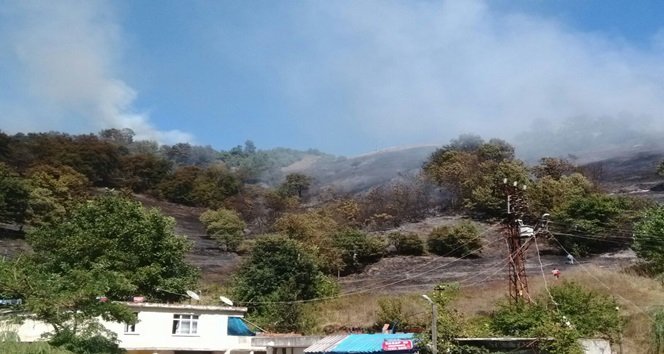 ZONGULDAK’TA ORMAN YANGINI