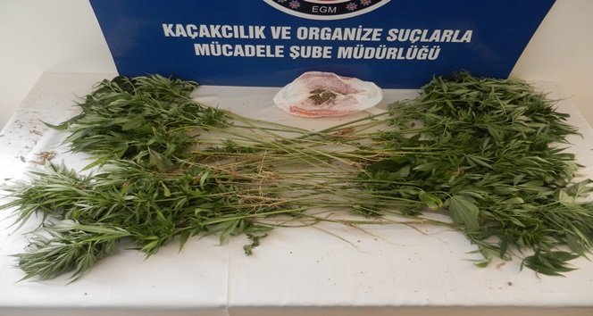 KARABÜK’TE EMNİYETTEN HİNT KENEVİRİ BASKINI