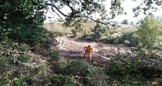 ZONGULDAK’IN EREĞLİ İLÇESİNE BAĞLI PINARCIK KÖYÜNDE ANIZ YANGINI RÜZGARIN ETKİSİYLE BÜYÜRKEN, İTFAİYE EKİPLERİNİN ZAMANINDA MÜDAHALESİYLE EVLERE SIÇRAMADAN SÖNDÜRÜLDÜ. (VEDAT KILIÇ/ZONGULDAK-İHA)