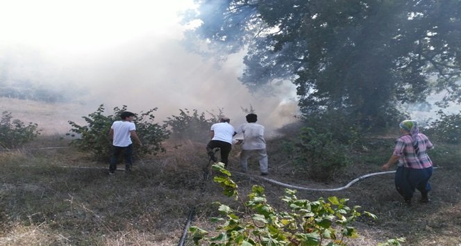 ZONGULDAK’IN EREĞLİ İLÇESİNE BAĞLI PINARCIK KÖYÜNDE ANIZ YANGINI RÜZGARIN ETKİSİYLE BÜYÜRKEN, İTFAİYE EKİPLERİNİN ZAMANINDA MÜDAHALESİYLE EVLERE SIÇRAMADAN SÖNDÜRÜLDÜ. (VEDAT KILIÇ/ZONGULDAK-İHA)
