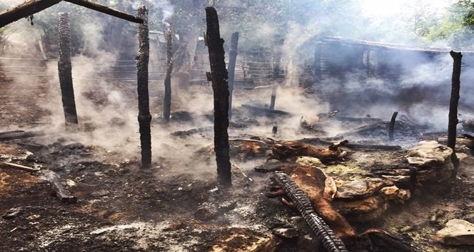 AHIR YANGININDA 6 HAYVAN TELEF OLDU