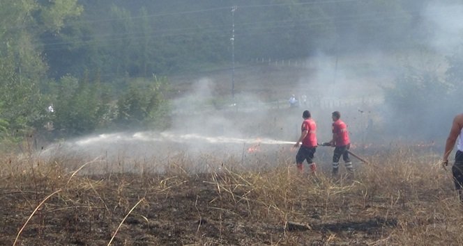 ÇAYCUMA’DA OT YANGINI PANİĞE NEDEN OLDU