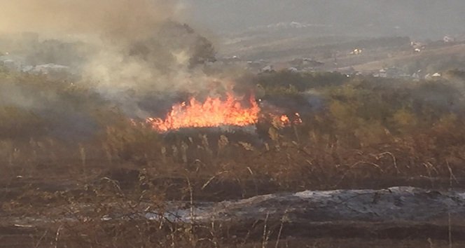 ÇAYCUMA’DA ARAZİ YANGINI KORKUTTU