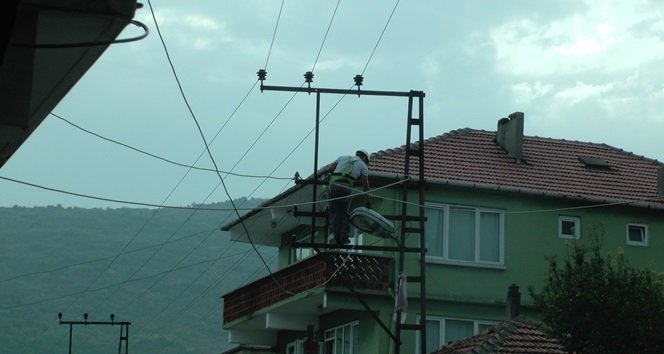 S3170397