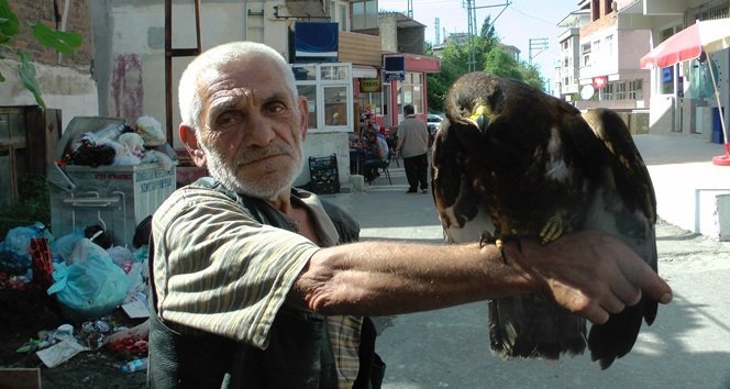 TÜRKALİ’DE HASAN GÖKTAŞ’IN SIRTINA DOĞAN YAVRUSU KONDU (GÖRÜNTÜLÜ)