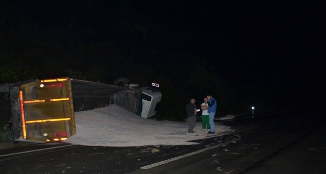 ZONGULDAK'IN ALAPLI İLÇESİNDE YAMAÇTAN DÜŞEN KAYA PARÇASINA ÇARPAN TIR DEVRİLDİ. (ERTUĞRUL YÜKSEL/ZONGULDAK-İHA)