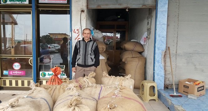 ALAPLI’DA FINDIK ÜRETİCİLERİ DERTLİ