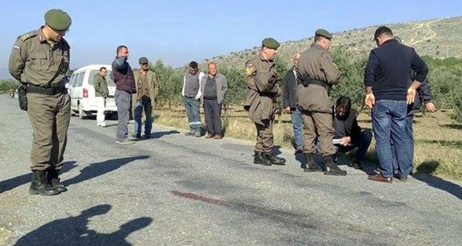 Zeytin paralarını alıp öldürdüler