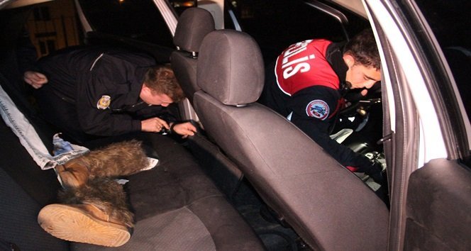 YUNUS TİMLERİ UYUŞTURUCU MADDE YAKALADIKLARI ZANLILARIN KULLANDIĞI OTOMOBİLDE DİDİK DİDİK ARAMA YAPTI. (VEDAT KILIÇ/ZONGULDAK-İHA)