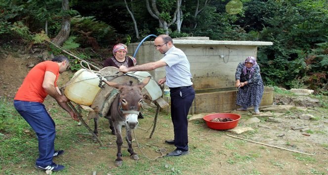 DÜZYAYLA KÖYÜ SAKİNLERİ, EVLERİNDE SU OLMADIĞI İÇİN EŞEKLERLE SU TAŞIYORLAR. (VEDAT YUNUS İKİZOĞLU/KASTAMONU-İHA)