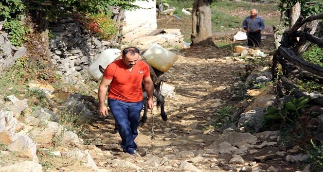 DÜZYAYLA KÖYÜ SAKİNLARI, EŞEKLERLE EVLERİNE SU TAŞIYORLAR. (VEDAT YUNUS İKİZOĞLU/KASTAMONU-İHA)