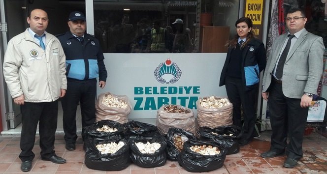 ÇAYCUMA’DA MANTAR OPERASYONU