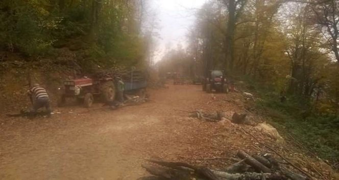 KESTİĞİ AĞACIN ÜZERİNE DEVRİLMESİ SONUCU HAYATINI KAYBETTİ