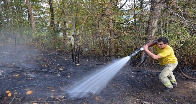 ALAPLI’DA ORMANLIK ALANDA YANGIN