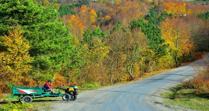 YAPRAKLARIN YEŞİL, KIRMIZI VE SARI TONLARI GÖRENLERİ HAYRAN BIRAKIYOR (ONUR ALTINDAĞ/ZONGULDAK-İHA)