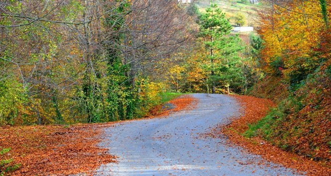 KURUYUP DÖKÜLEN YAPRAKLAN SONBAHARDA KENT ORMANINA AYRI BİR GÜZELLİK KATIYOR (ONUR ALTINDAĞ/ZONGULDAK-İHA)