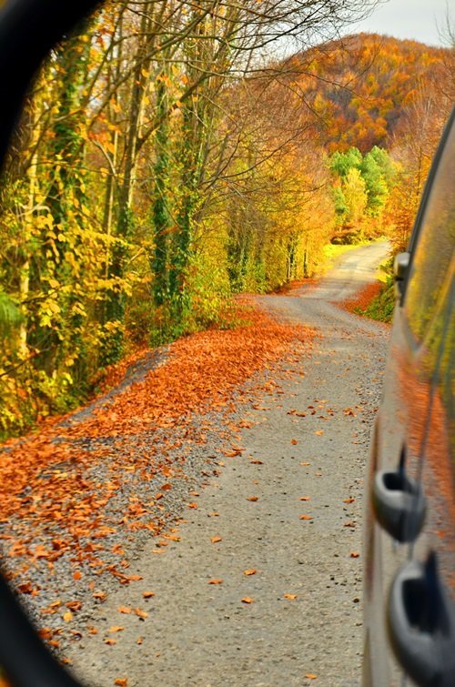 ELVANPAZARCIK BELDESİNDE BULUNAN KENT ORMANI YOLU ZİYARETÇİLERİNİ KENDİNE HAYRAN BIRAKIYOR (ONUR ALTINDAĞ/ZONGULDAK-İHA)