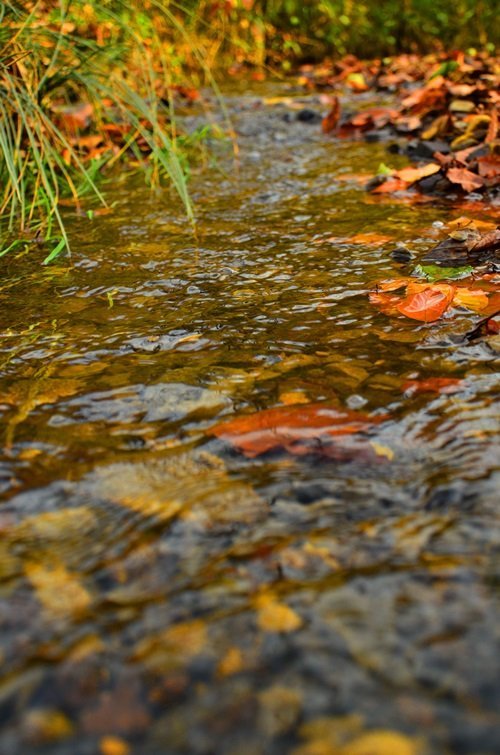 ZONGULDAK'TA SONBAHAR