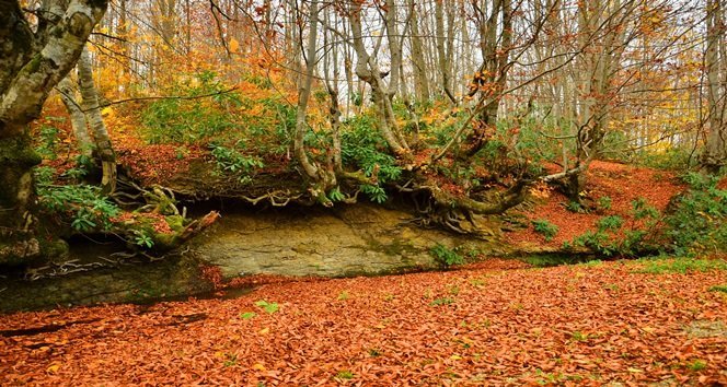ZONGULDAK’TA SONBAHAR