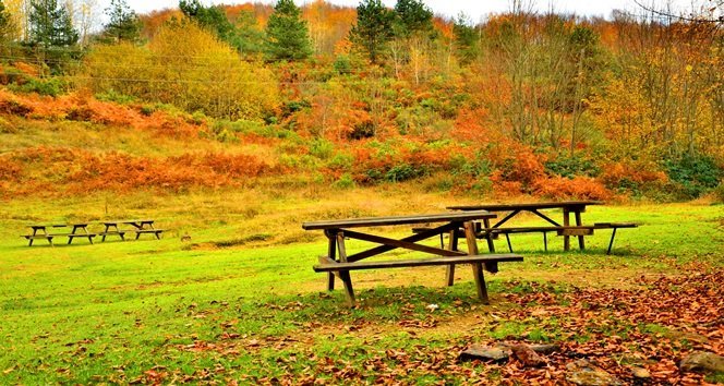 KENT ORMANI SONBAHARDA ZİYARETÇİLERİN İLGİ ODAĞI OLUYOR (ONUR ALTINDAĞ/ZONGULDAK-İHA)