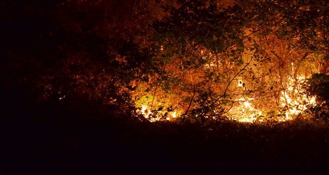 ALAPLI’DA ORMANLIK ALANDA 3 NOKTADA YANGIN ÇIKTI