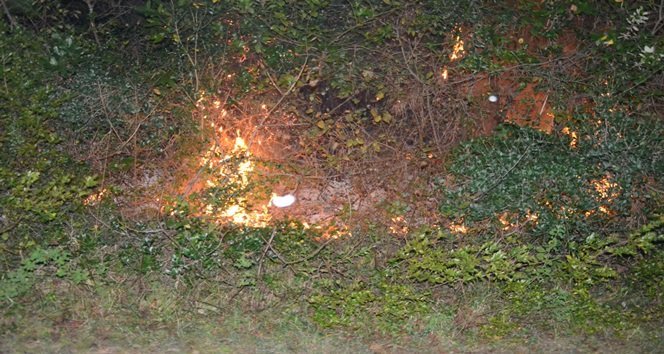 ZONGULDAK'IN ALAPLI İLÇESİ İNCİVEZ KÖYÜNDE ORMANLIK ALANDA 3 AYRI NOKTADA  BAŞLAYAN YANGIN, LODOSUN ETKİSİYLE YAYILDI. (ERTUĞRUL YÜKSEL/ZONGULDAK-İHA)