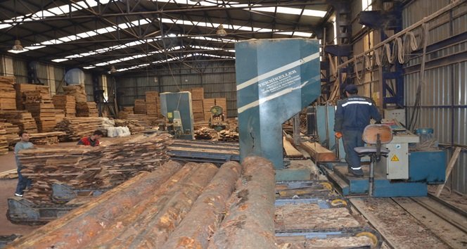 TOMRUK İŞLEME FABRİKASI (ERTUĞRUL YÜKSEL/ZONGULDAK-İHA) (İHA/ZONGULDAK-İHA)