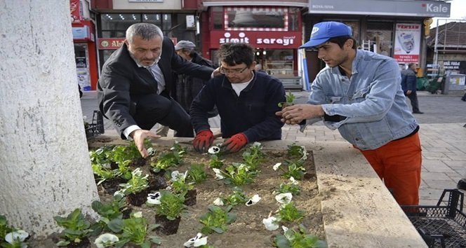 ALAPLI’DA 25 BİN ÇİÇEK DİKİLECEK