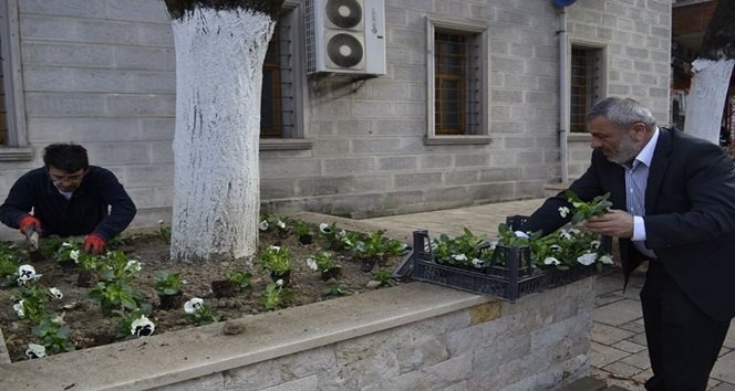 ALAPLI BERLEDİYESİNDEN 25 BİN ÇİÇEK DİKİMİ (ERTUĞRUL YÜKSEL/ZONGULDAK-İHA) (ERTUĞRUL YÜKSEL/ZONGULDAK-İHA)